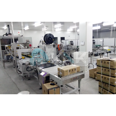 盒类药品柔性后道包装线