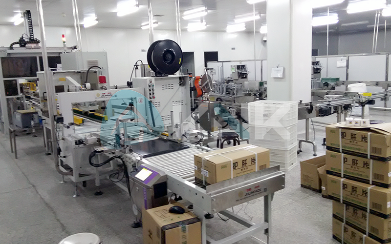 盒类药品柔性后道包装线